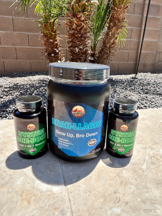 Recovery Bundle