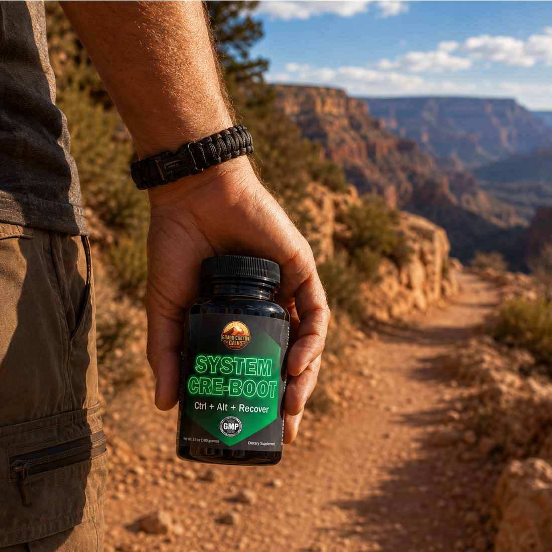 Supplements